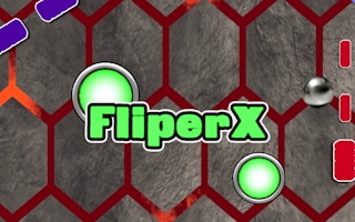 Image FliperX